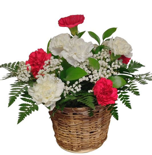 Red and White Carnation Basket